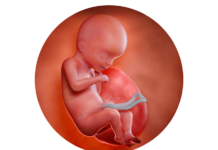 18. týden těhotenství: miminko může slyšet váš hlas