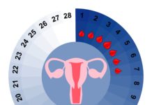 Menstruační kalendář k vytisknutí. Pomůžeme vám lépe poznat fáze menstruačního cyklu menstruacni kalendar