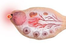 Ovulace, plodné a neplodné dny. Poznáte, kdy je možné otěhotnět? ovulacni dny