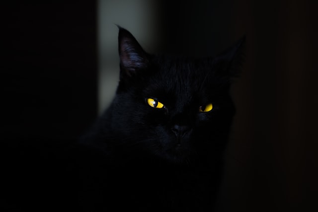 Kvíz_halloween