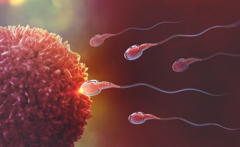 Podpořit plodnost můžete slunečnicovými semínky či citrusovými plody. Pomohou i některé bylinky Podpořit plodnost můžete slunečnicovými semínky či citrusovými plody. Pomohou i některé bylinky