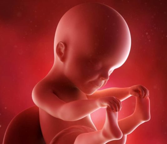 25. týden těhotenství: miminko vnímá vůně 25. týden těhotenství