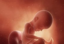 27. týden těhotenství: miminko dýchá plodovou vodu a rozpozná její chuť 27. týden těhotenství