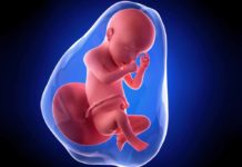 30. týden těhotenství: miminku mizí chloupky a kostní dřeň přebírá tvorbu červených krvinek 30-tyden-tehotenstvi