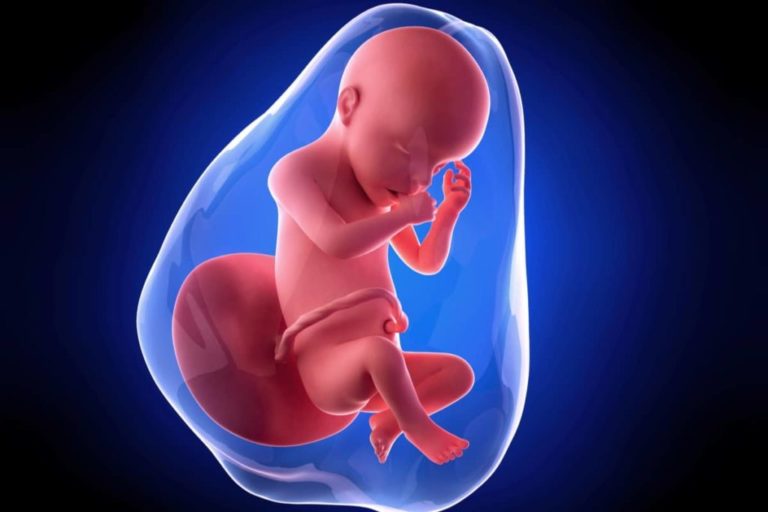 30. týden těhotenství: miminku mizí chloupky a kostní dřeň přebírá tvorbu červených krvinek