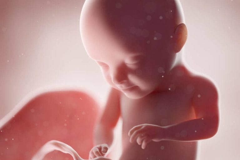31. týden těhotenství: paměť miminka se intezivně rozvíjí