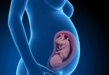 33. týden těhotenství: miminko má vlastní imunitní systém 33-tt