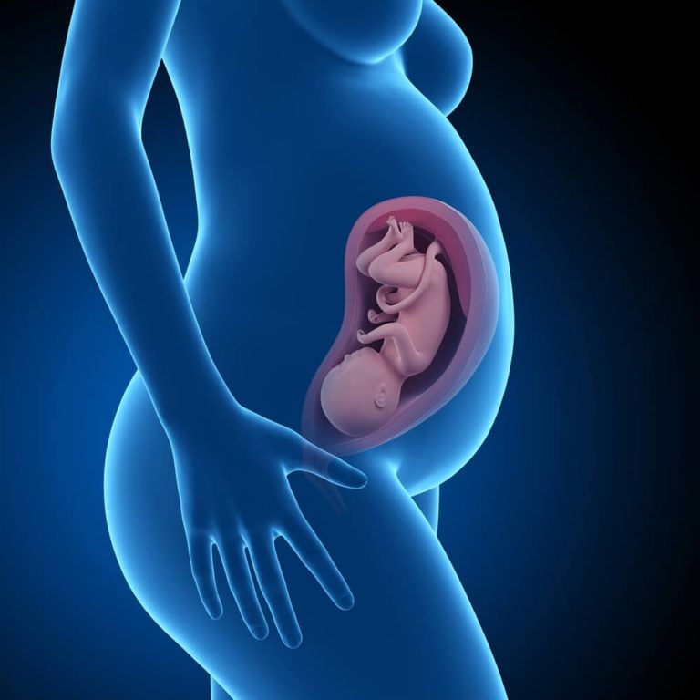 33. týden těhotenství: miminko má vlastní imunitní systém