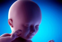 34. týden těhotenství: plicní tkáň miminka dokončila svůj vývoj 34-tyden-tehotenstvi