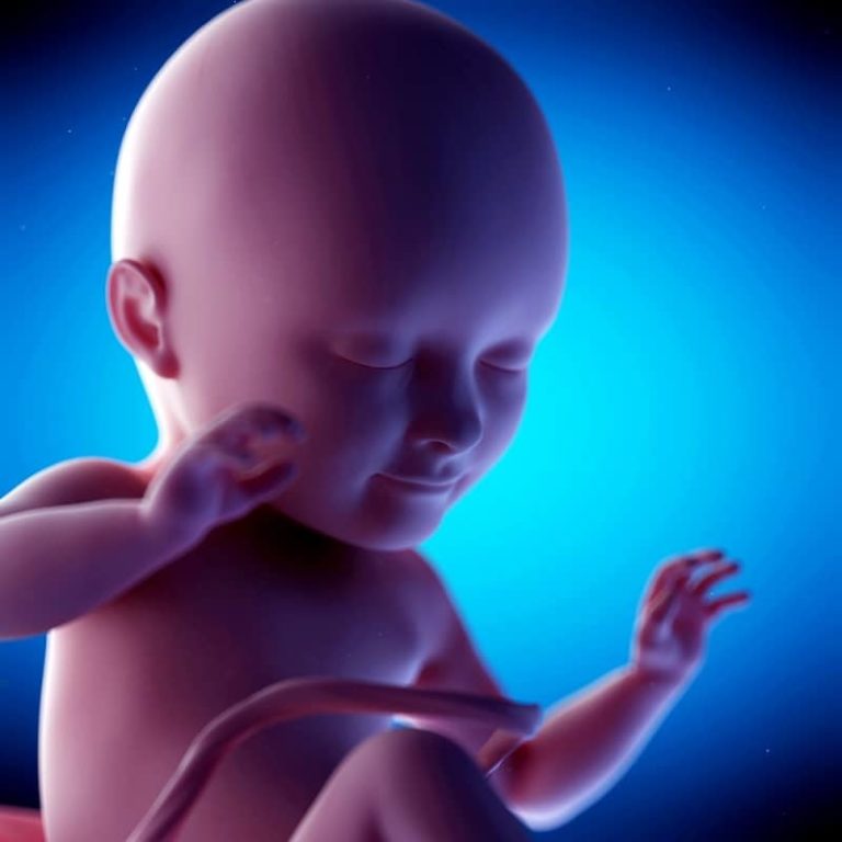 34. týden těhotenství: plicní tkáň miminka dokončila svůj vývoj