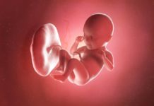 35. týden těhotenství: miminko začíná vypadat jako plně donošené 35 tt