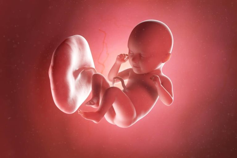 35. týden těhotenství: miminko začíná vypadat jako plně donošené
