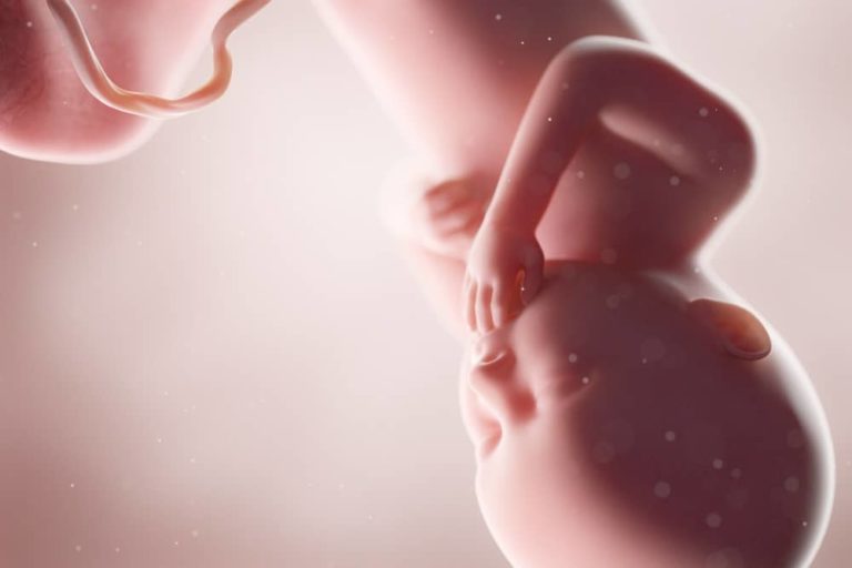 36. týden těhotenství: testování na přítomnost streptokoka skupiny B