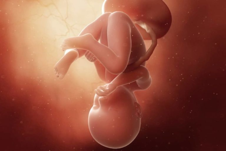 37. týden těhotenství: miminko je schopné samostatně dýchat