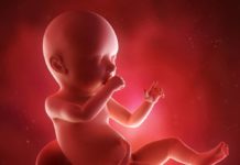 40. týden těhotenství: oficiální termín porodu 40. týden těhotenství