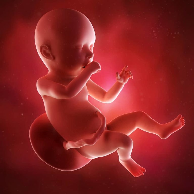 40. týden těhotenství: oficiální termín porodu