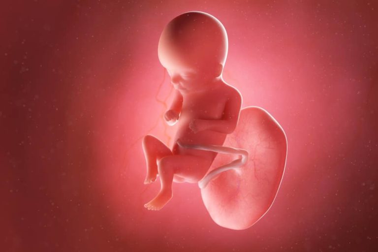 16. týden těhotenství: miminko začíná vnímat chutě