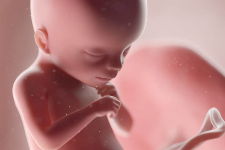 18. týden těhotenství: miminko slyší váš hlas
