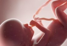 20. týden těhotenství: druhý ultrazvukový screening 20-tyden-tehotenstvi