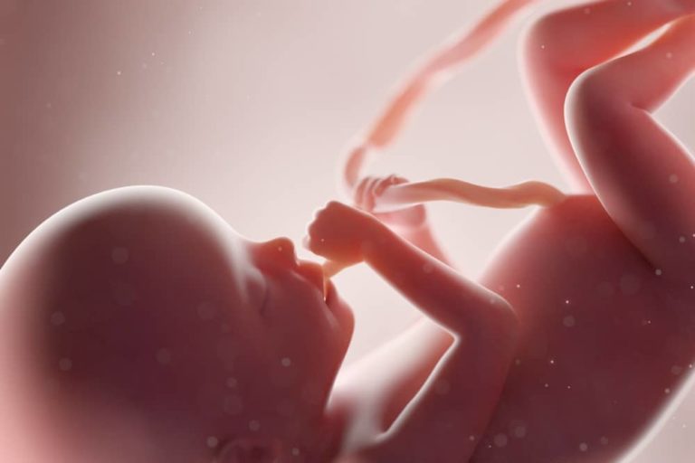20. týden těhotenství: druhý ultrazvukový screening