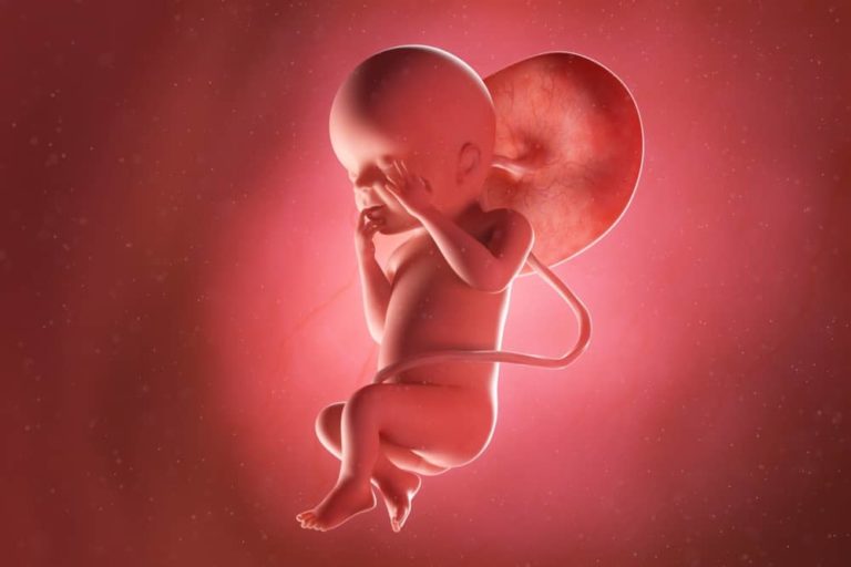 23. týden těhotenství: miminko pozná váš hlas